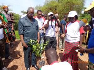 Photo of the reforestation campaign on the banks of the Tandjarie